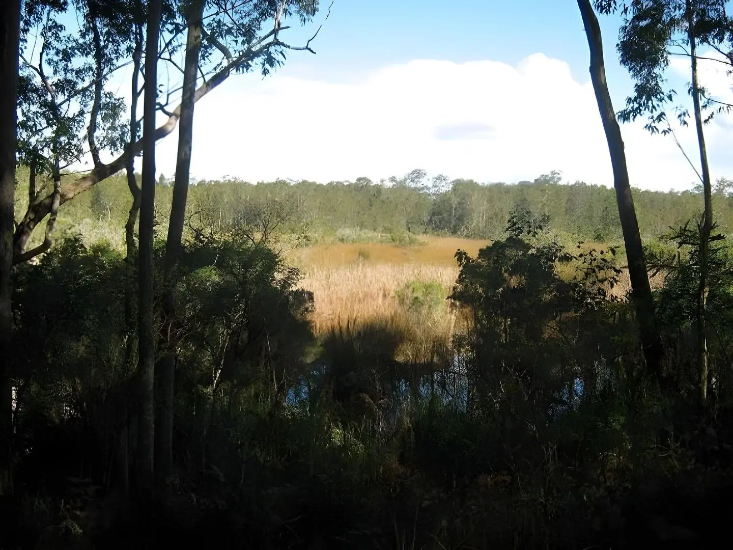 The Bower At Broulee LANDSCAPE