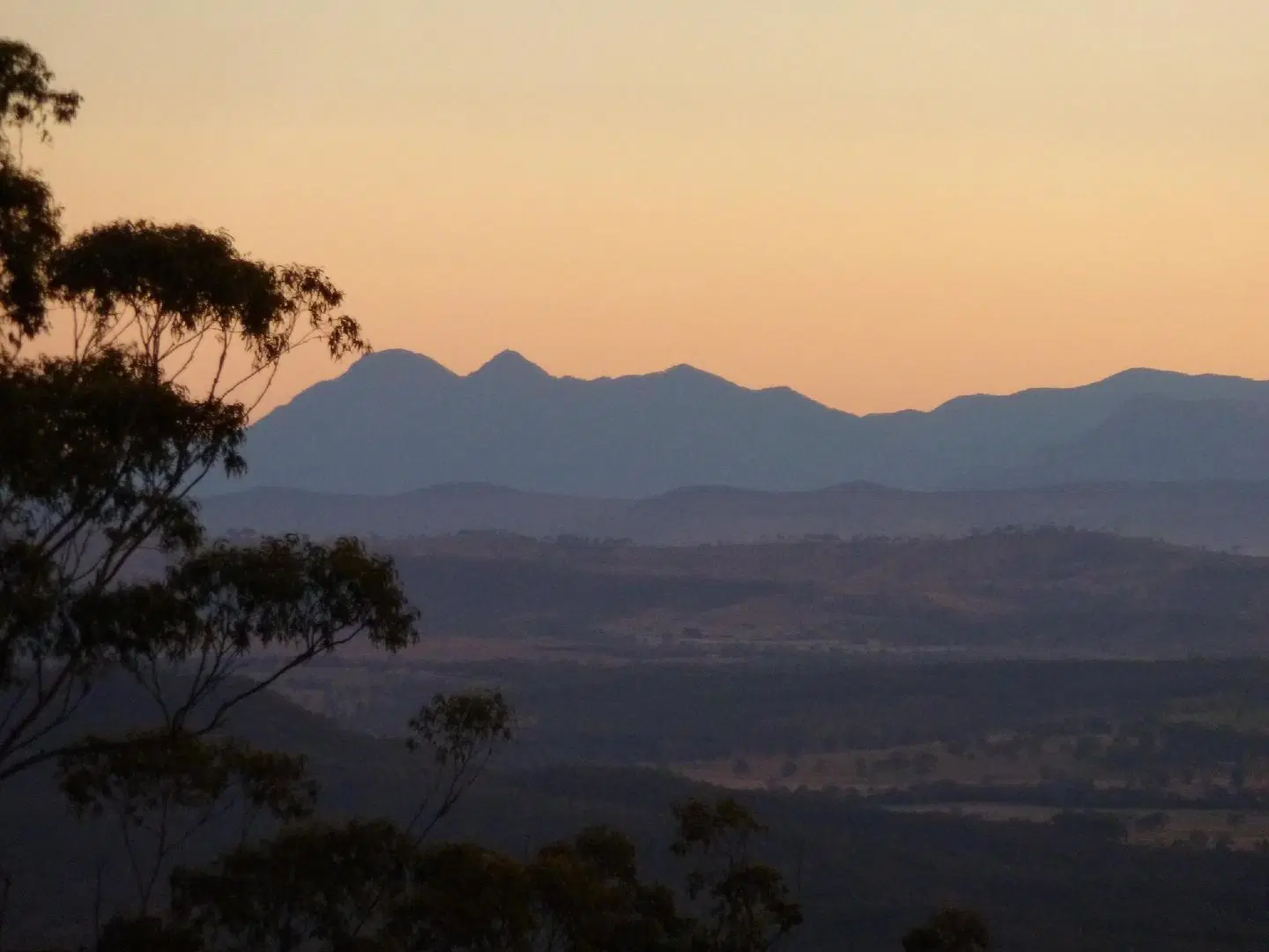 Avocado Sunset Bed & Breakfast LANDSCAPE