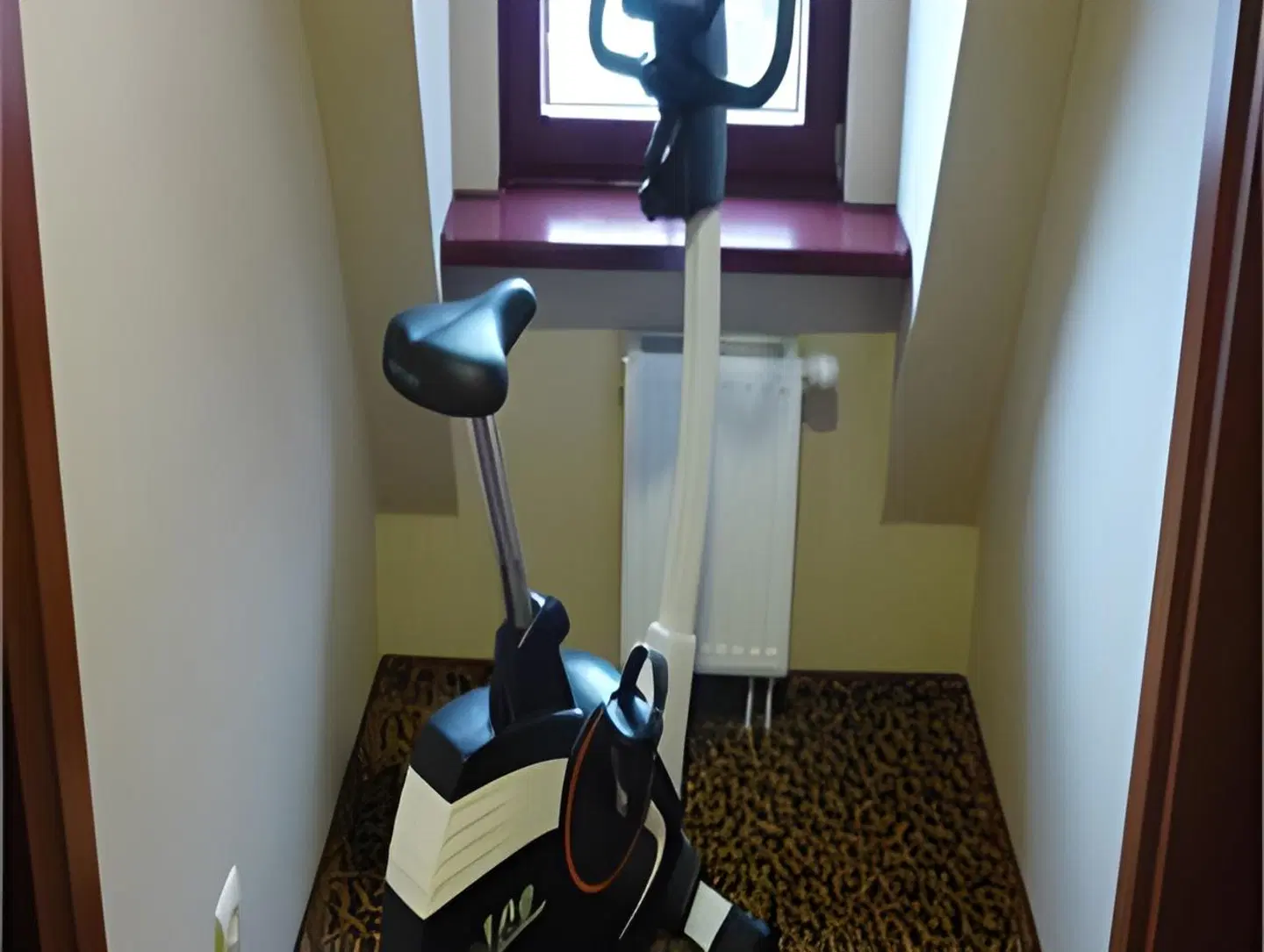 Hotel 1231 SPORTS_AND_LEISURE