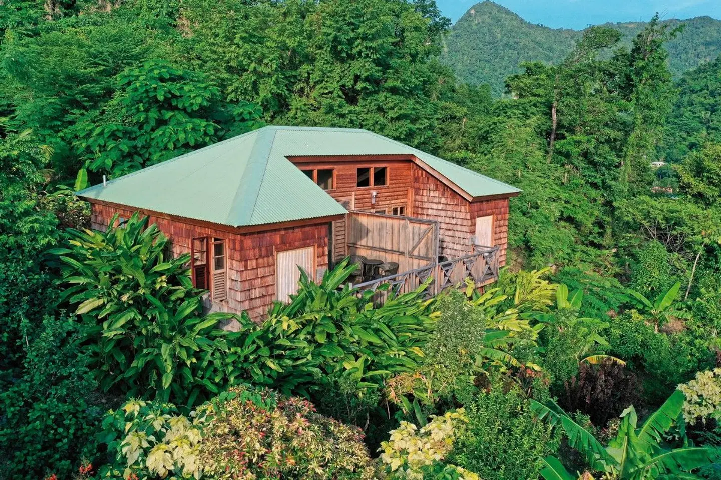 Jungle Bay EXTERIOR