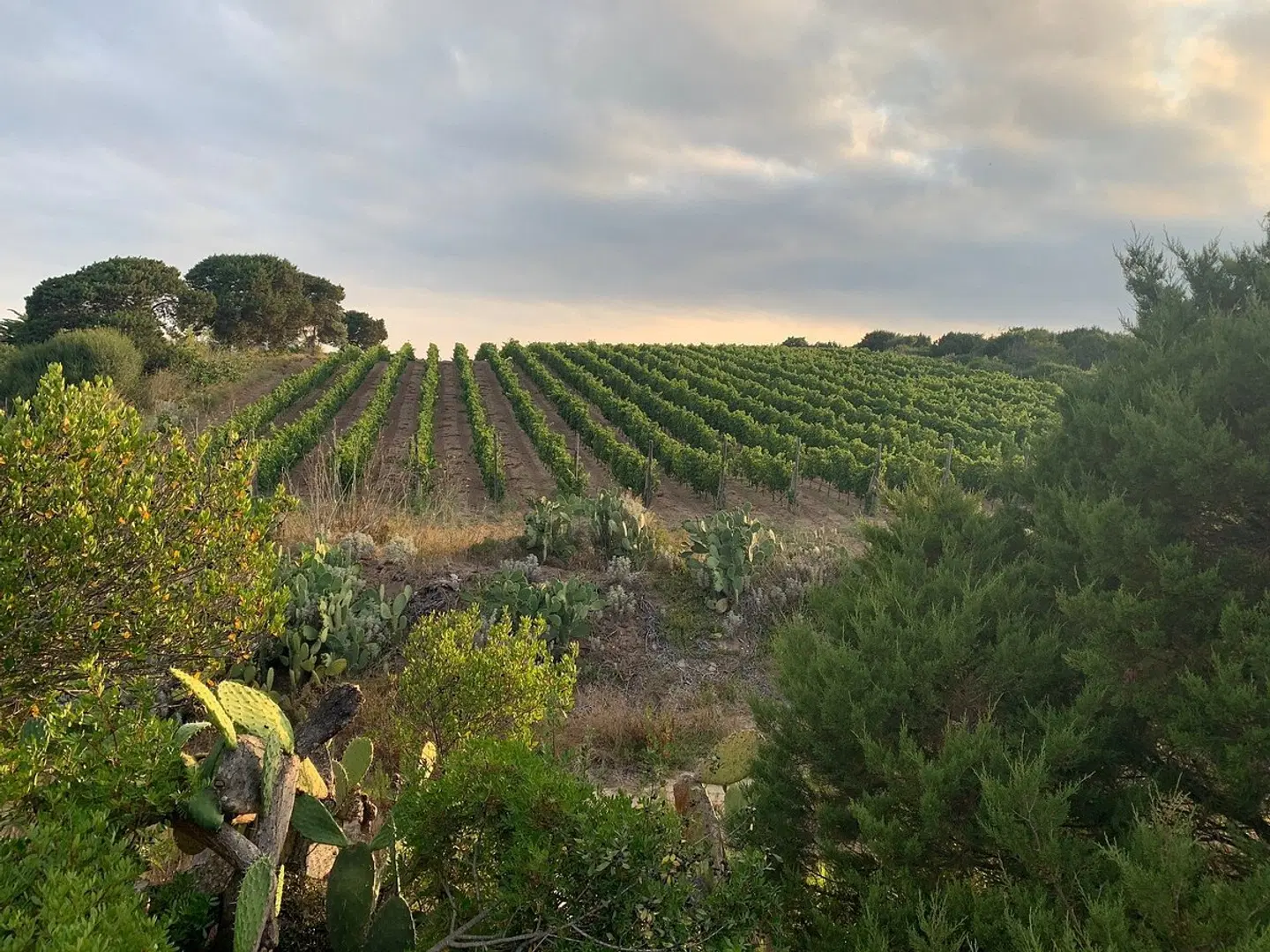 Stazzi di Gallura B&B LANDSCAPE