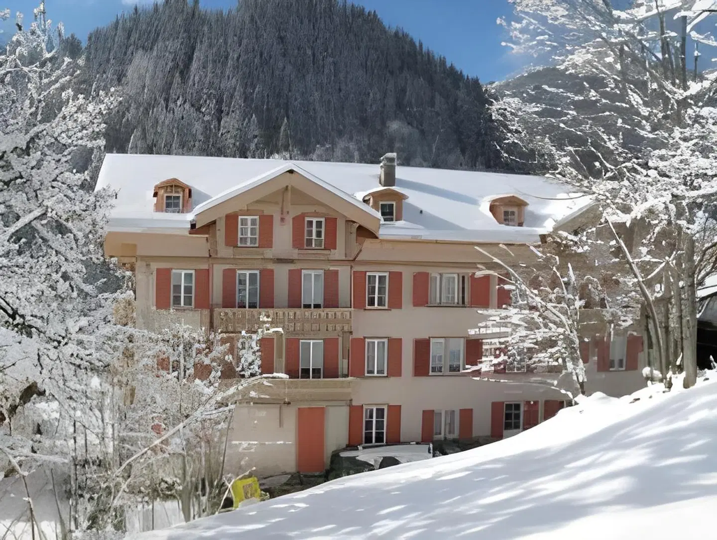 Boutique Hotel du Pillon EXTERIOR