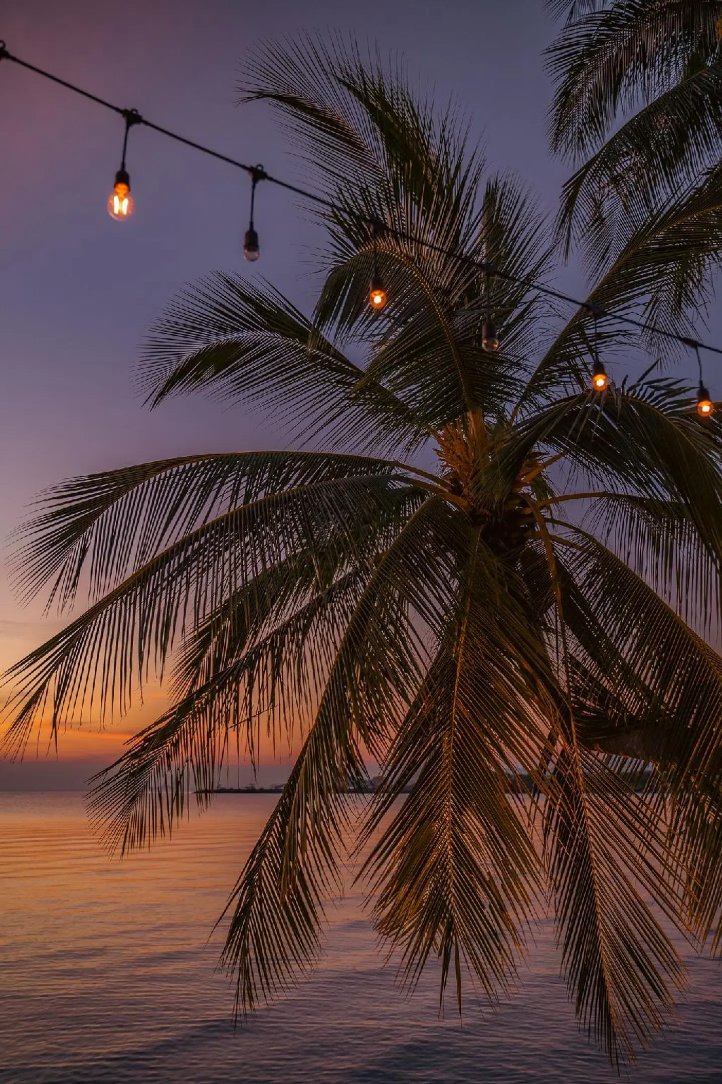 Tango Luxe Beach Villa Tiere