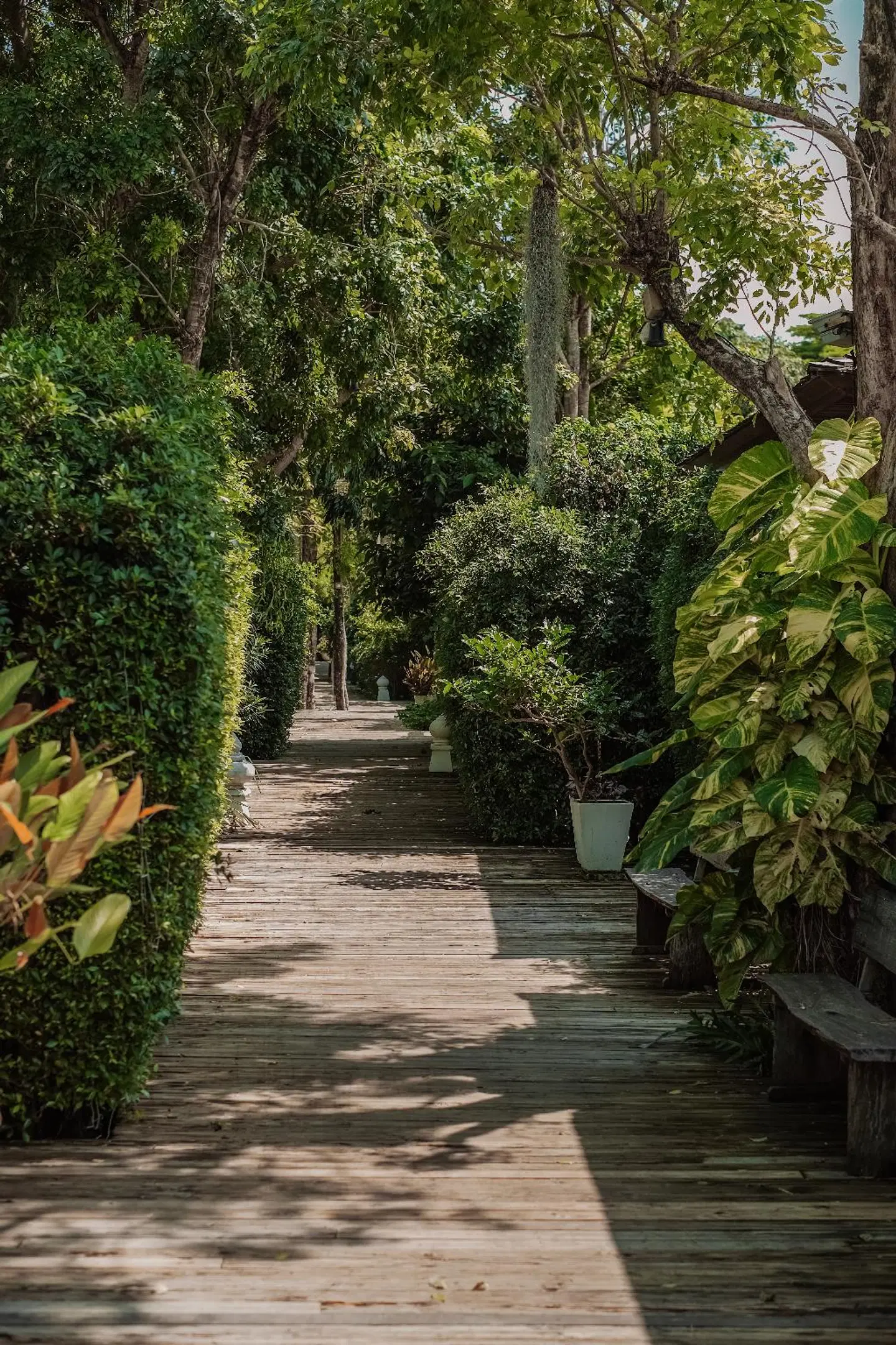 Tango Luxe Beach Villa Garten