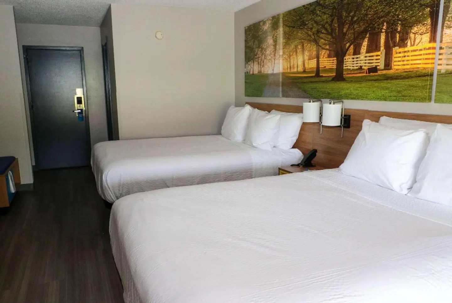 Days Inn by Wyndham Farmville ROOM_EXAMPLE