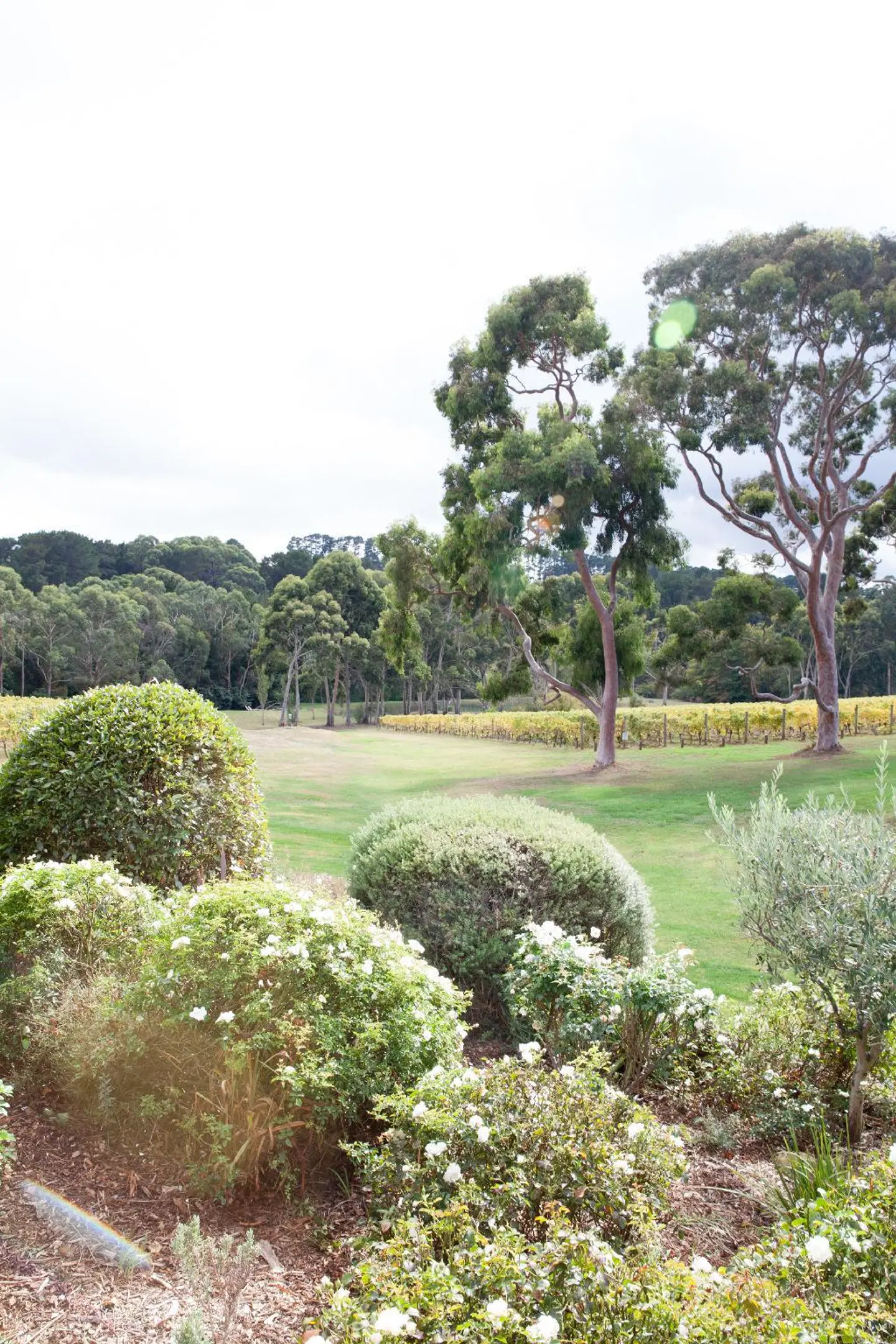 Polperro Villas Garten