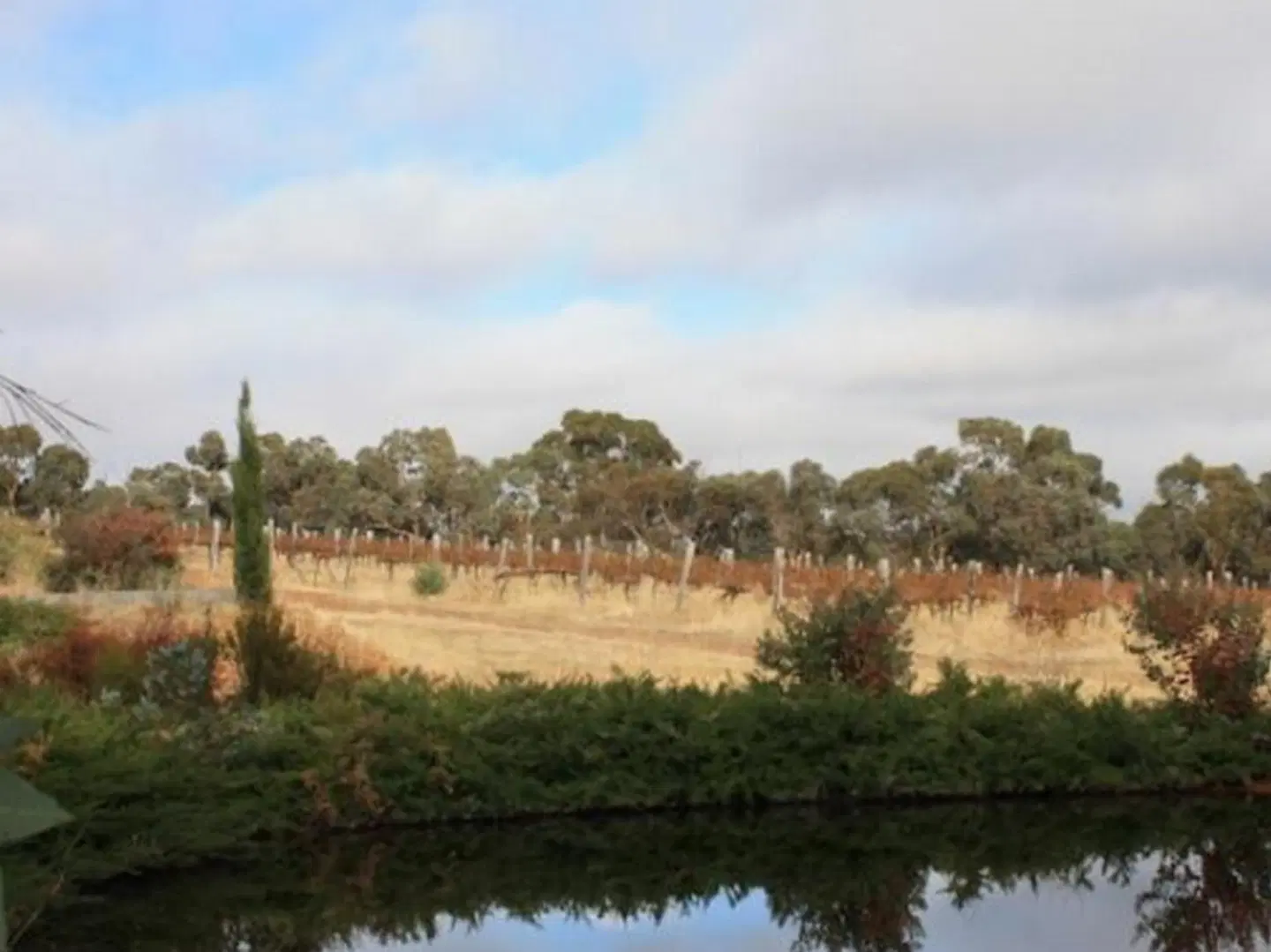 Hotham Ridge Winery and Cottages LANDSCAPE