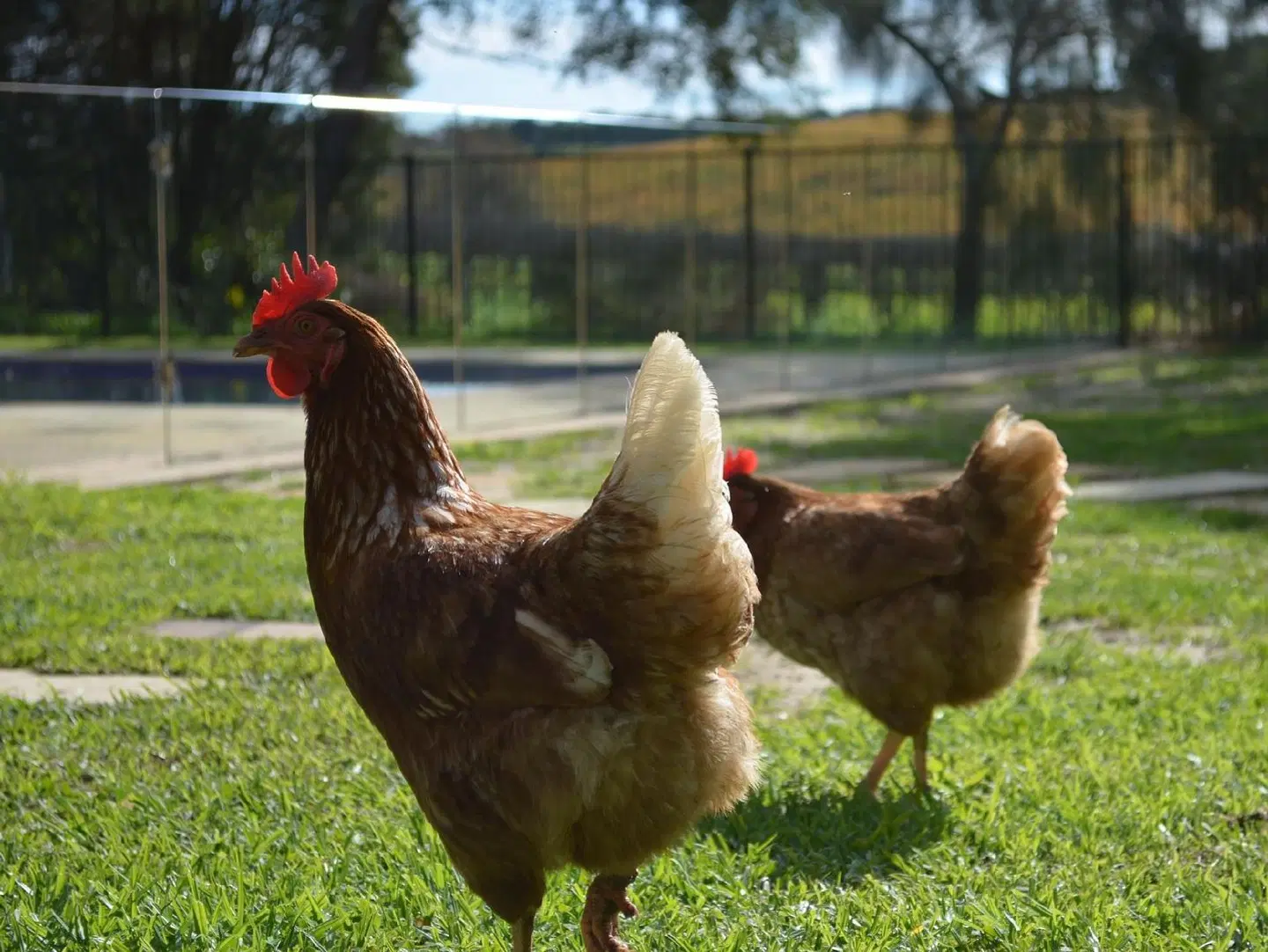 Amande Bed and Breakfast Tiere