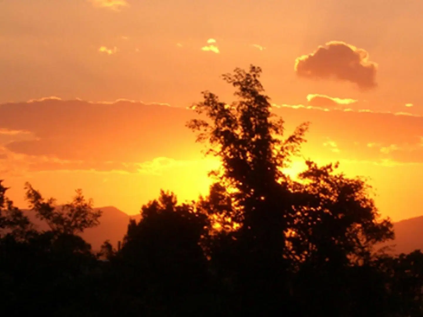 Tinaroo Sunset Retreat LANDSCAPE