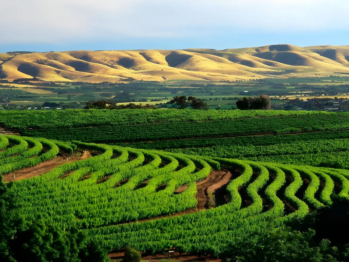 Amande Bed and Breakfast LANDSCAPE