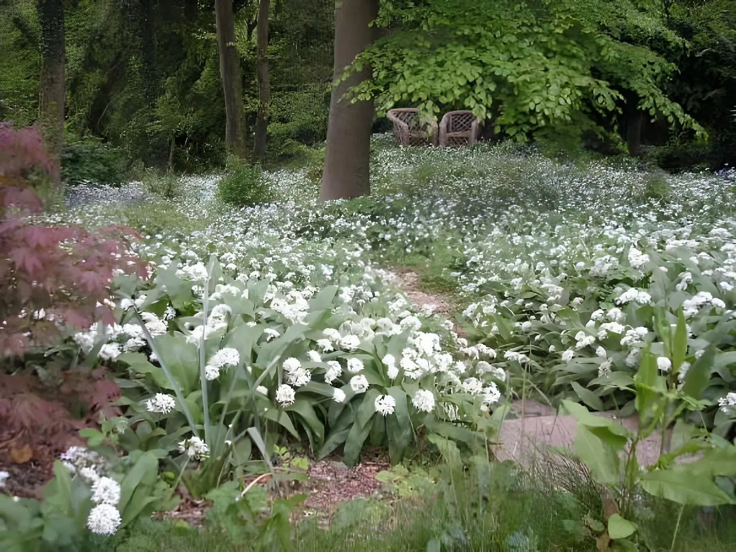 Woodland Views Garten