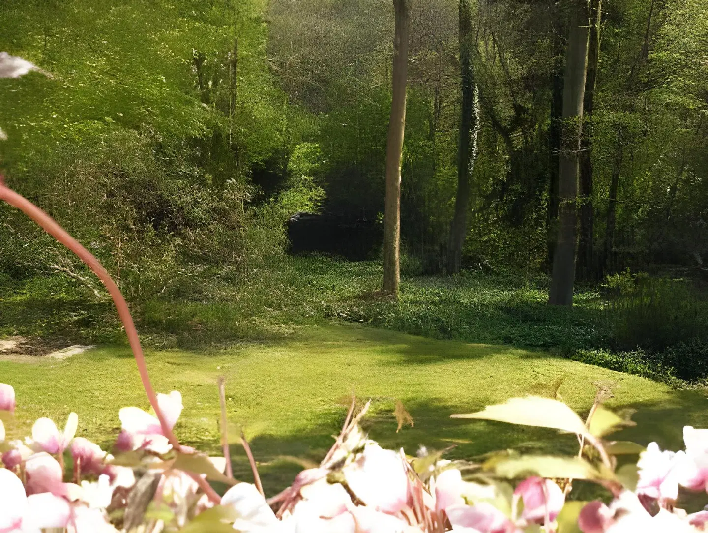 Woodland Views Garten