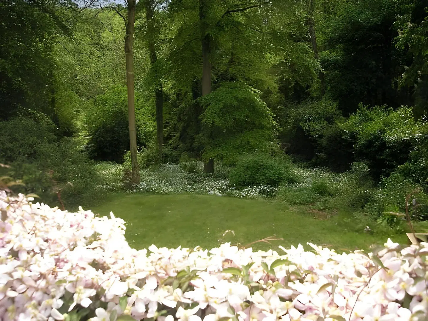 Woodland Views Garten