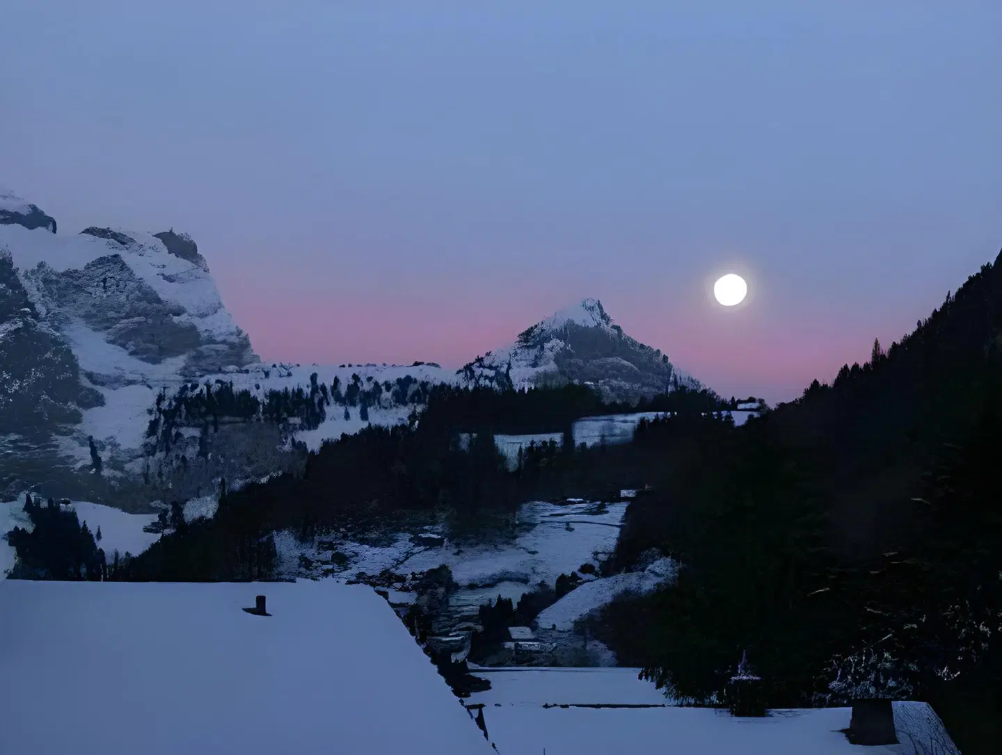 Hostatt LANDSCAPE