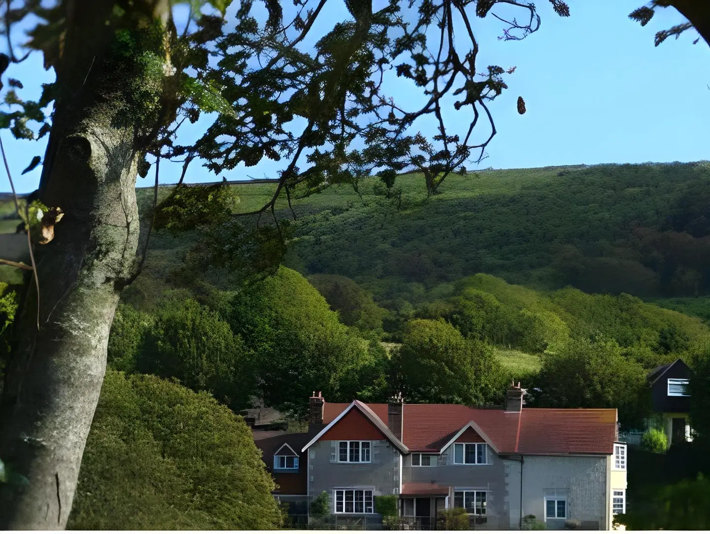 Limestone Hotel LANDSCAPE