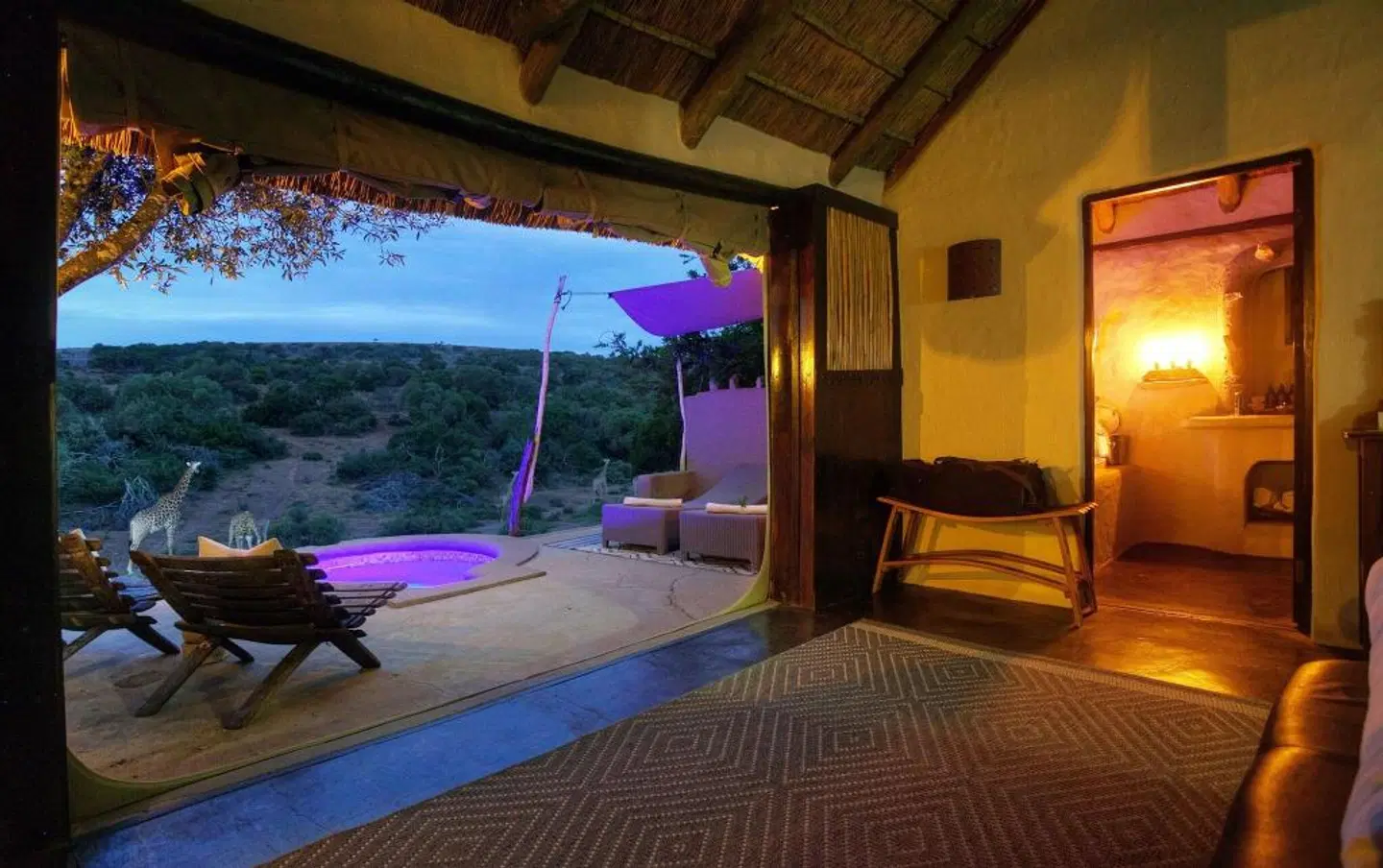 Amakhala Game Reserve - Safari Lodge HEALTH_BEAUTY