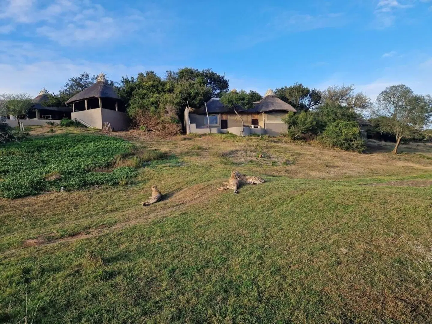 Amakhala Game Reserve - Safari Lodge LANDSCAPE