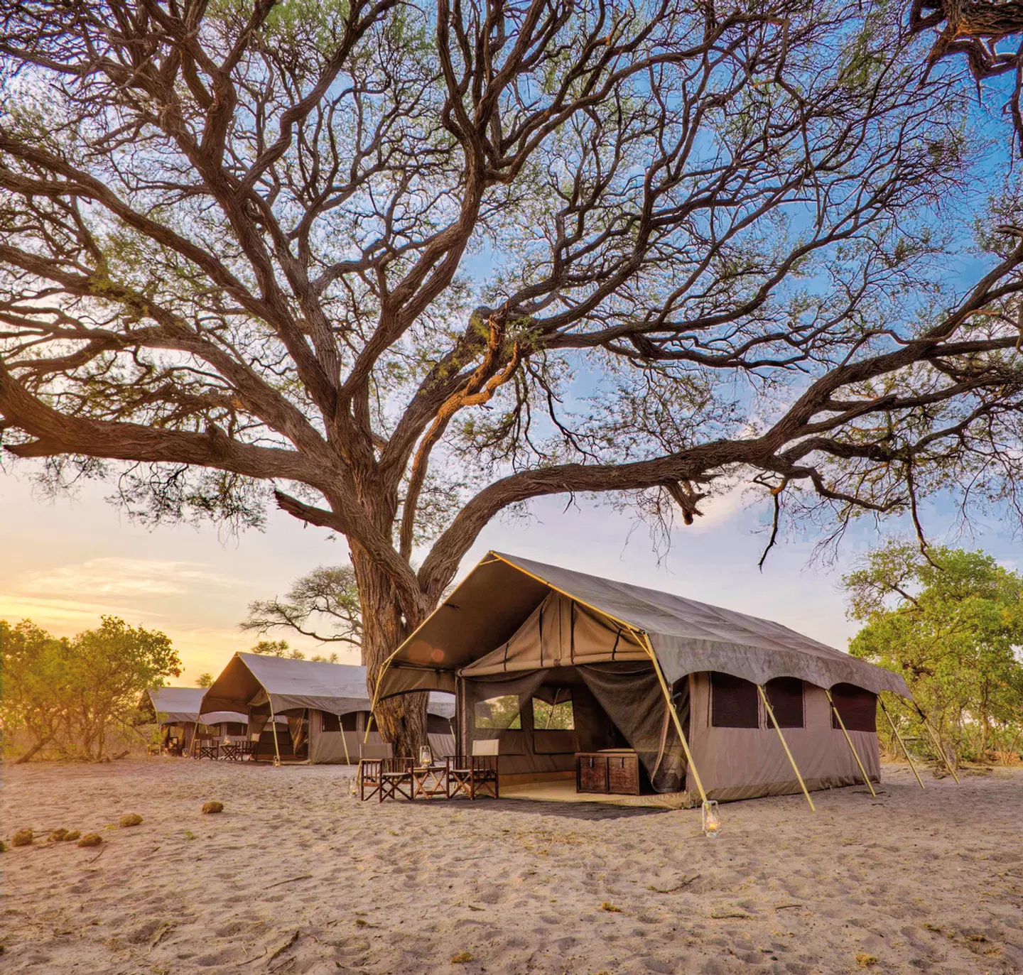 &Beyond Savute Under Canvas EXTERIOR