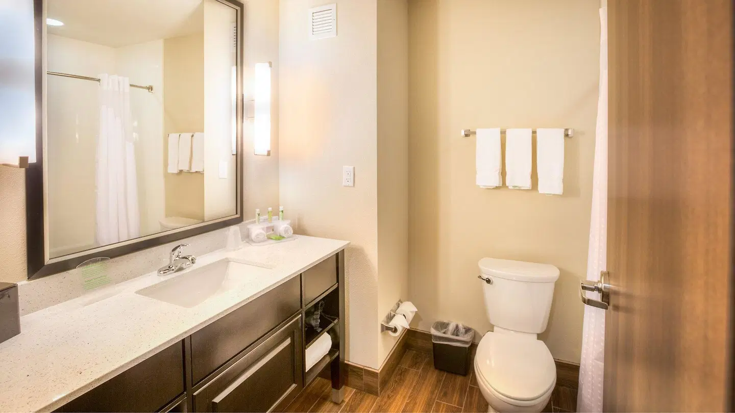 Holiday Inn Express Wichita South by IHG Badezimmer