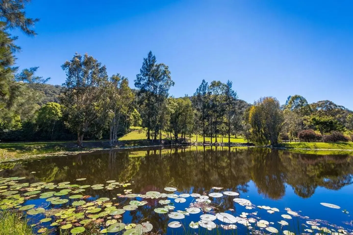 Galnyamba.Friday Creek Retreat OUTDOOR_POOL