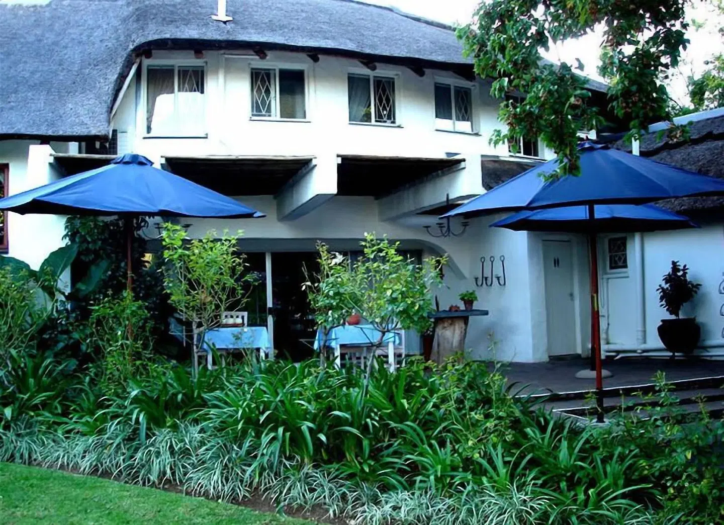 De Witt'e Guest House EXTERIOR