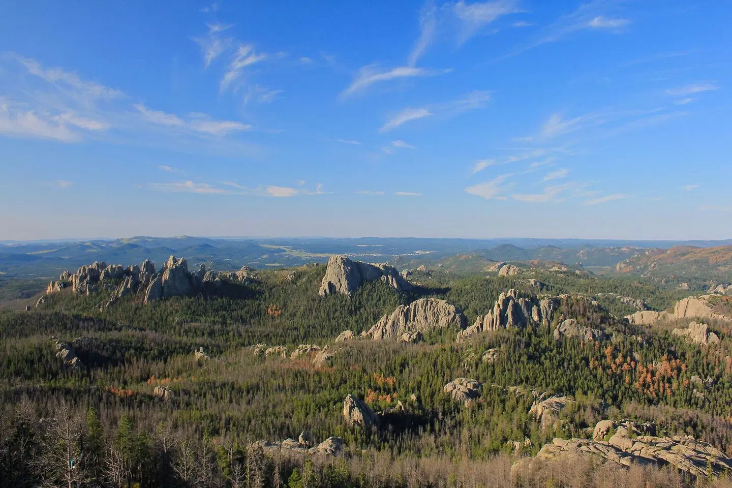Staybridge Suites Rapid City - Rushmore by IHG LANDSCAPE