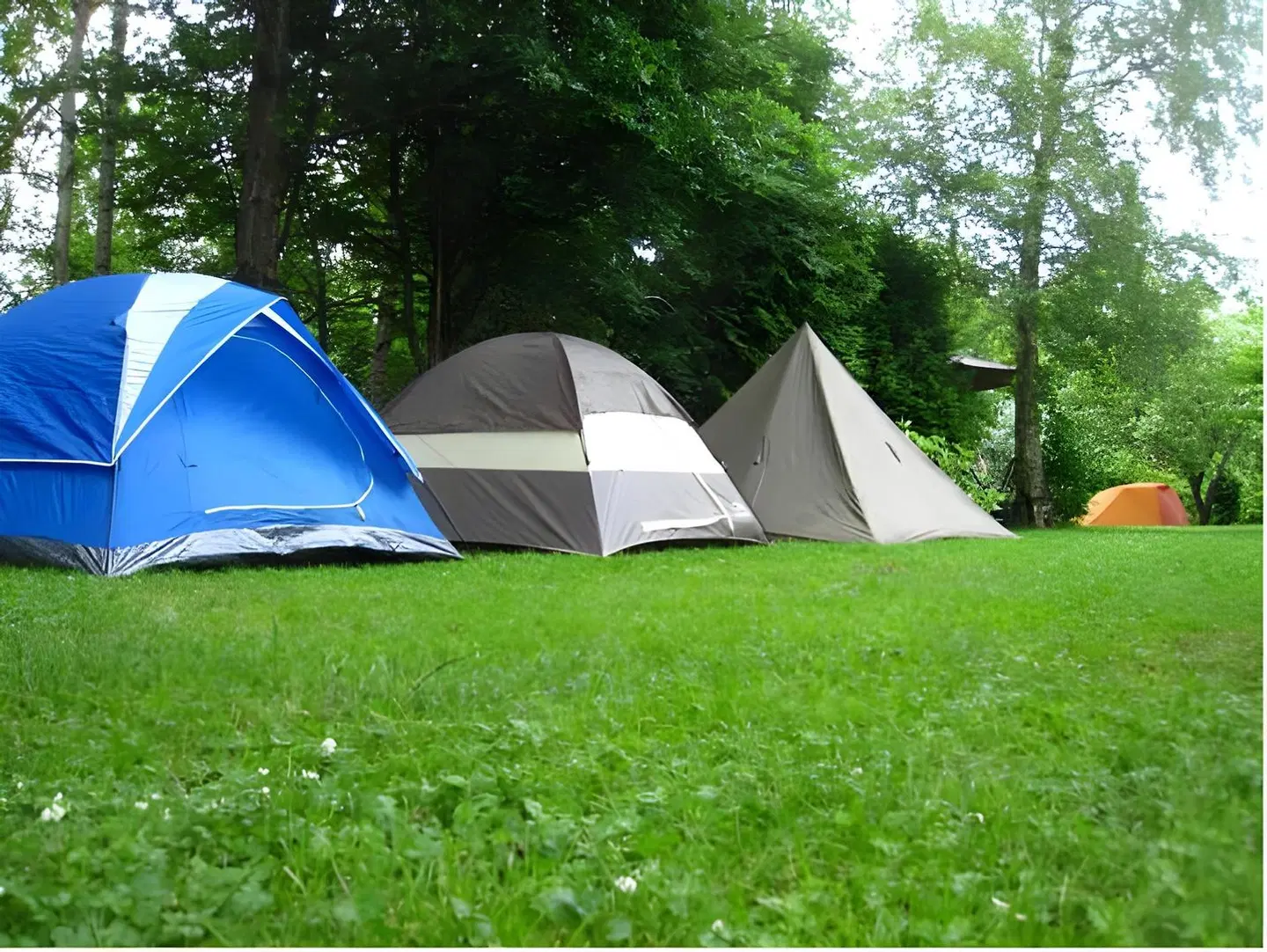 Piibelehe Guest Accommodation Garten