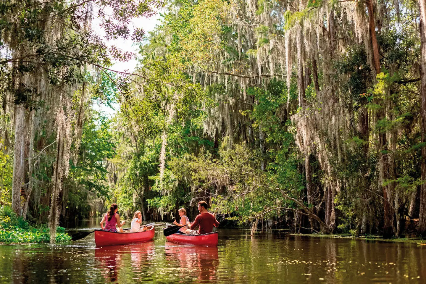 The Ritz-Carlton Orlando, Grande Lakes LANDSCAPE