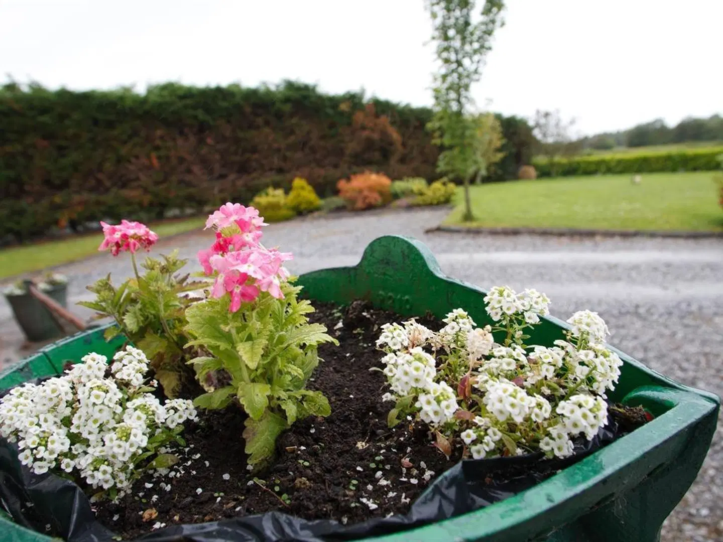 Dun Cromain B&B Garten