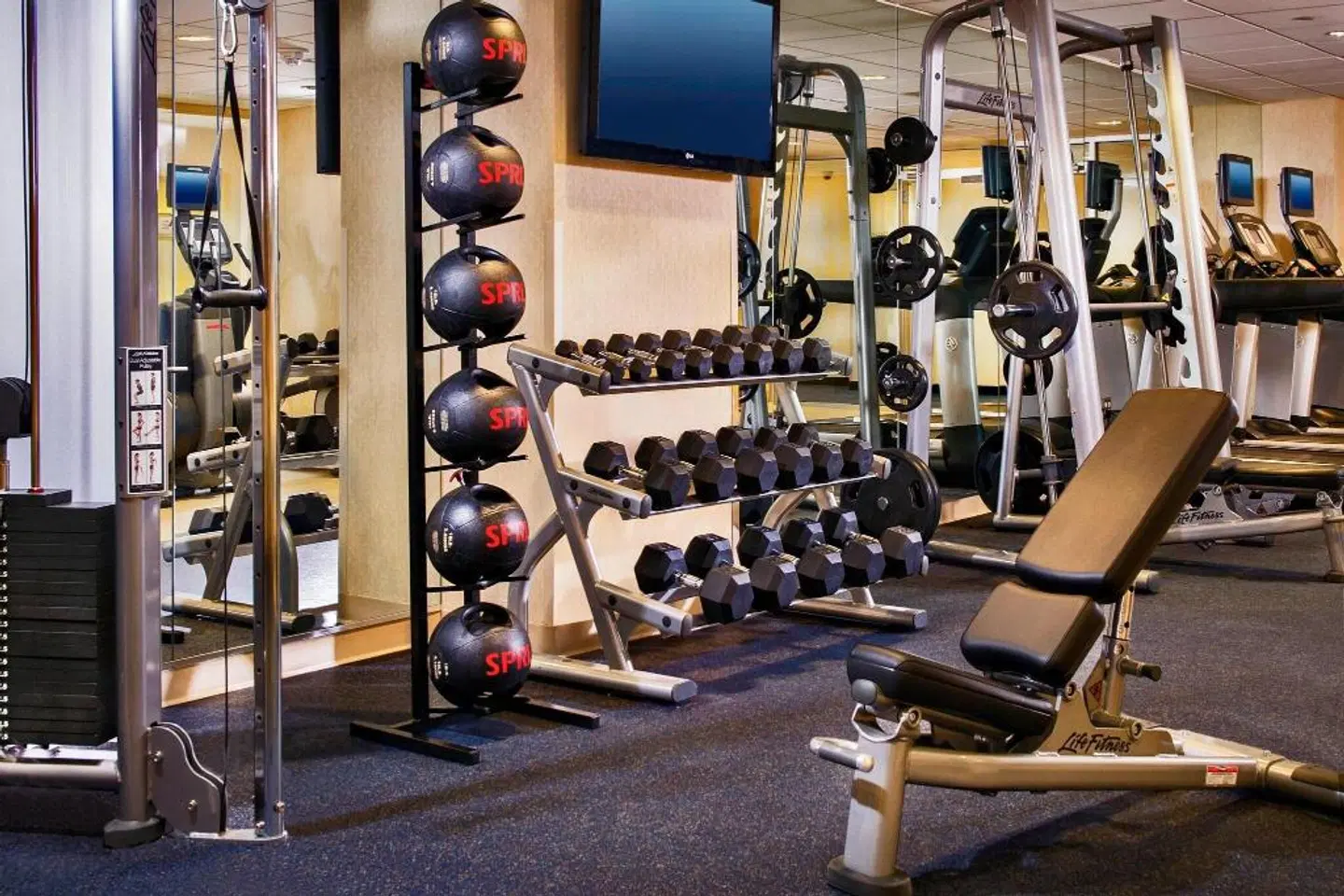 BWI Airport Marriott SPORTS_AND_LEISURE