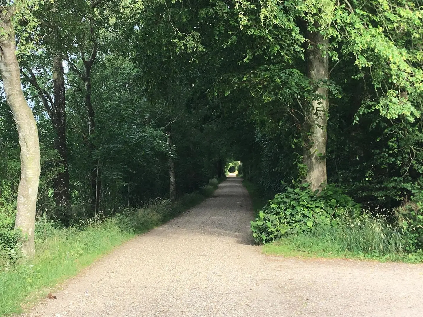 Bed & Breakfast Tistrup Garten