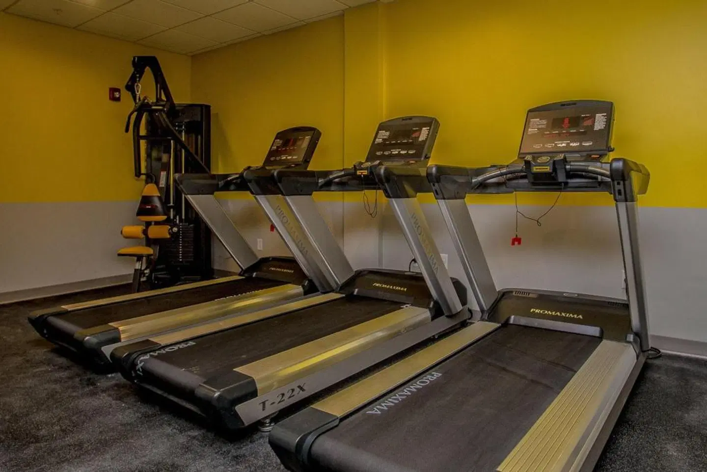 The Chandler at White Mountains, An Ascend Hotel Collection Member SPORTS_AND_LEISURE