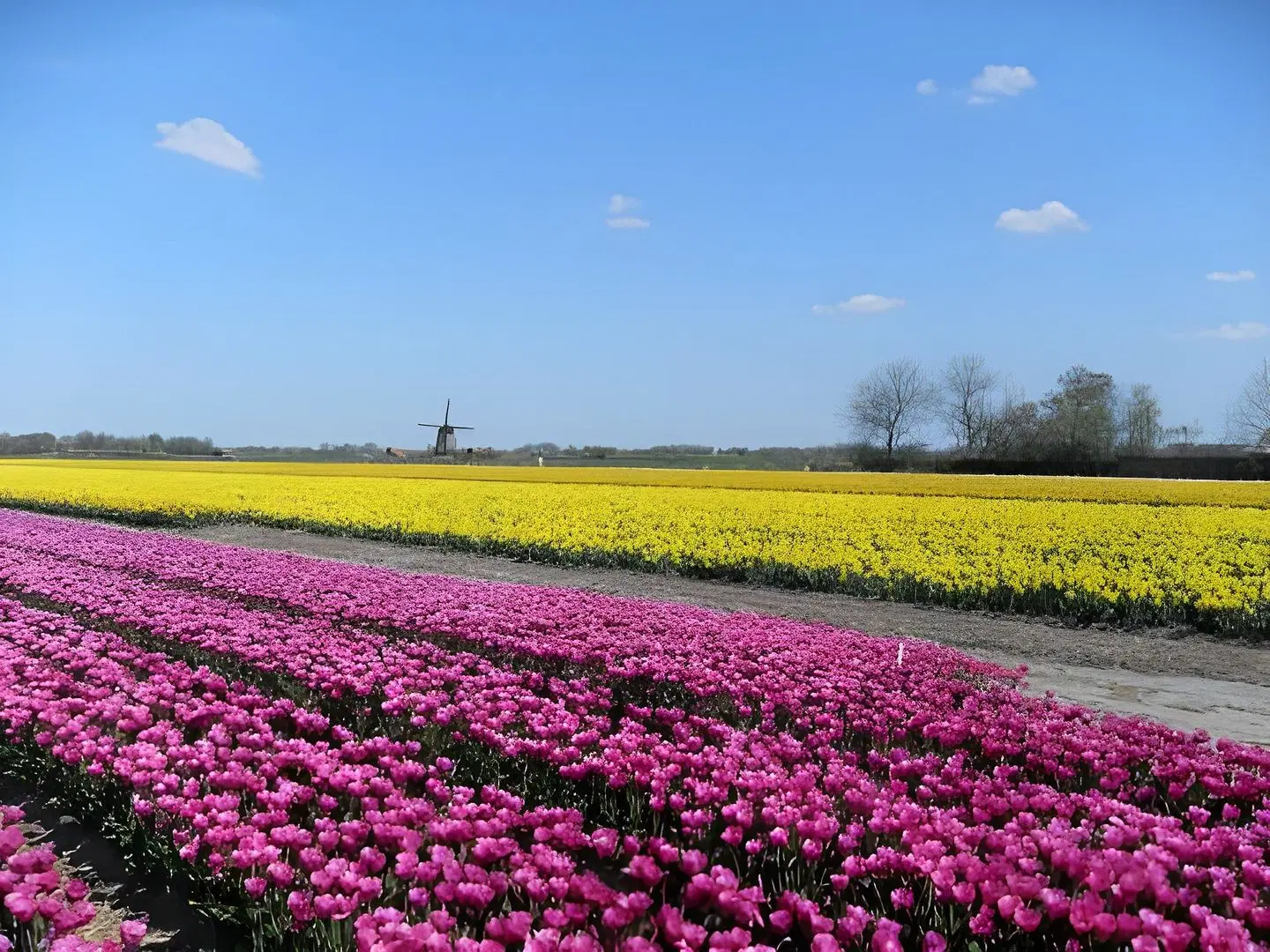 De Dennen Garten