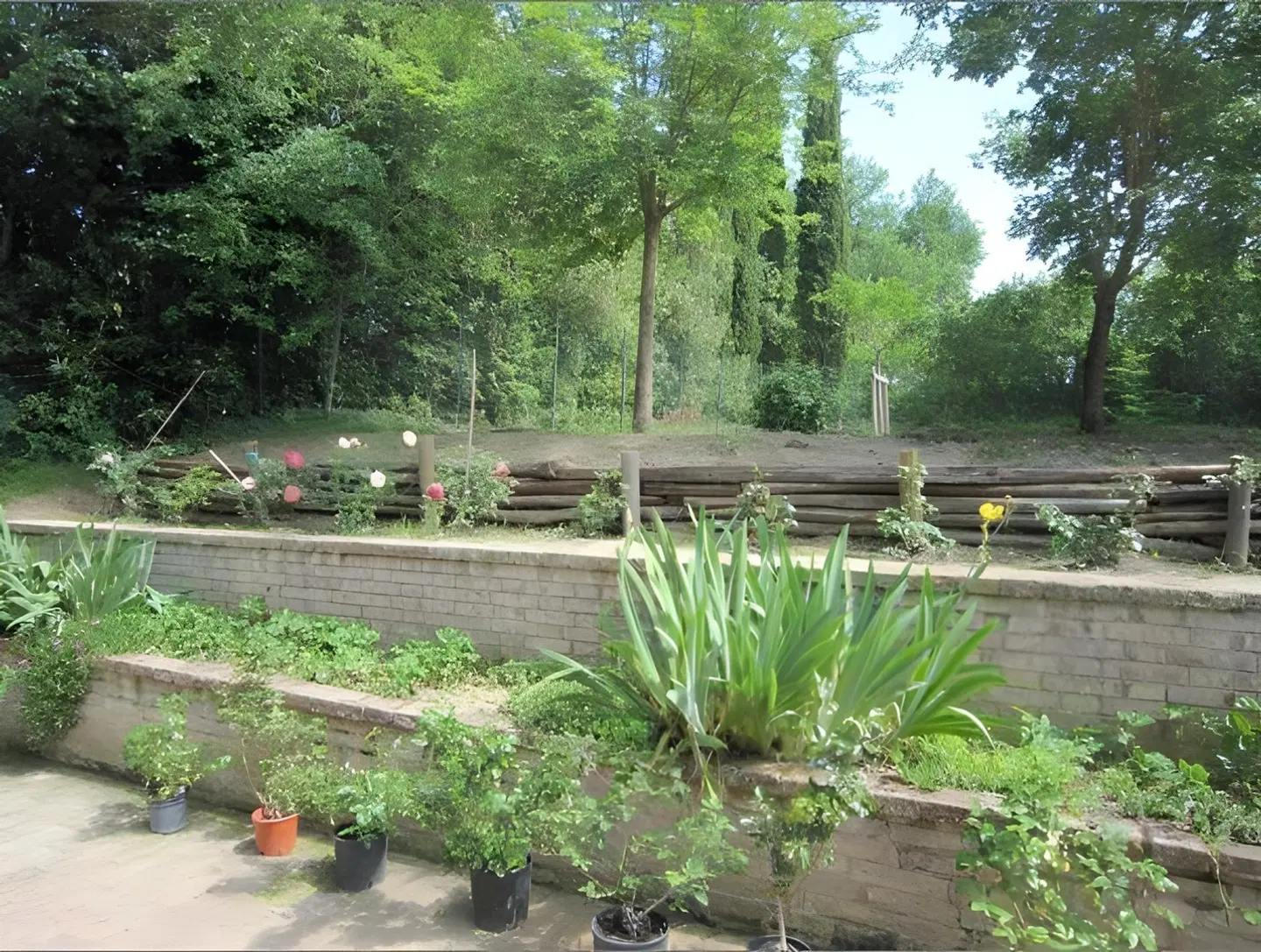 Tenuta La Santissima Garten