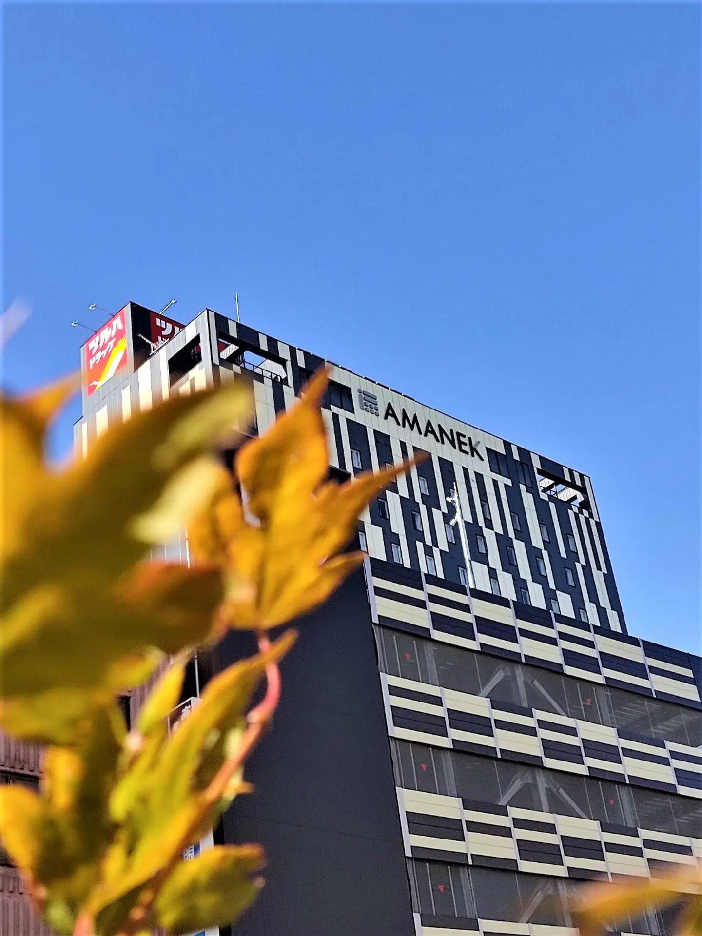 Hotel Amanek Asahikawa Tiere