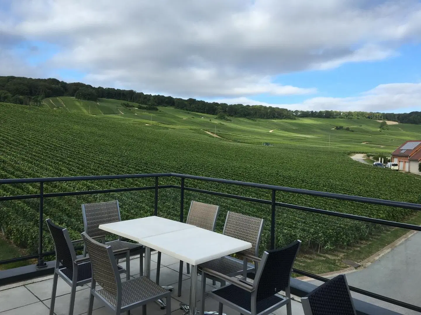 Dans les Vignes Terrasse