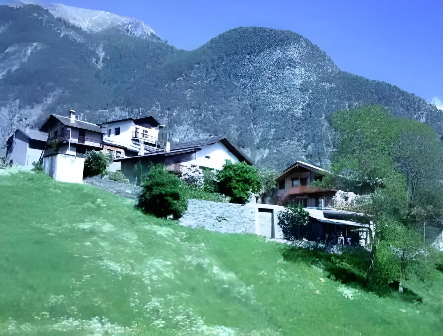 Maison Dominique LANDSCAPE
