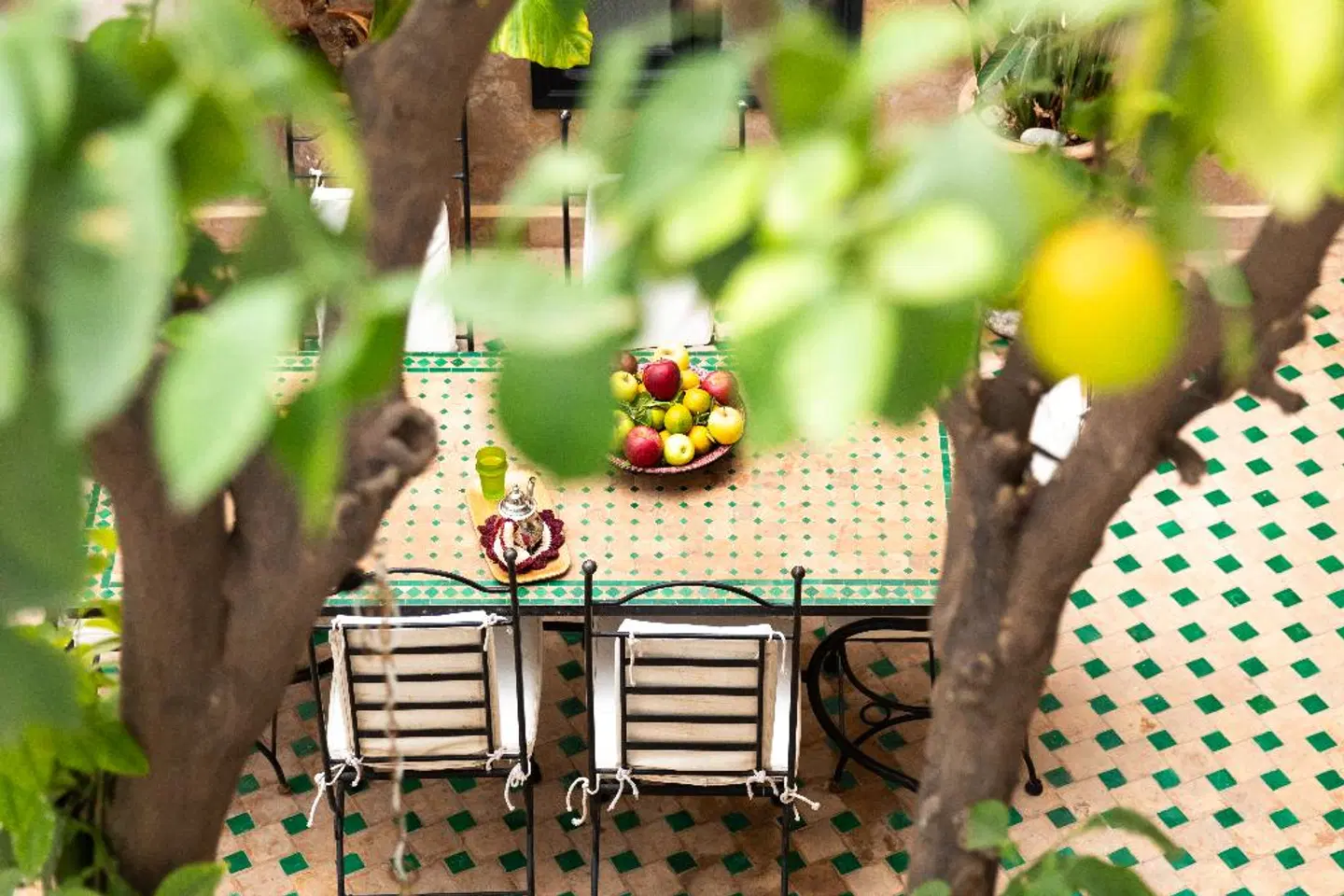 Riad Aguerzame Hotel Tiere