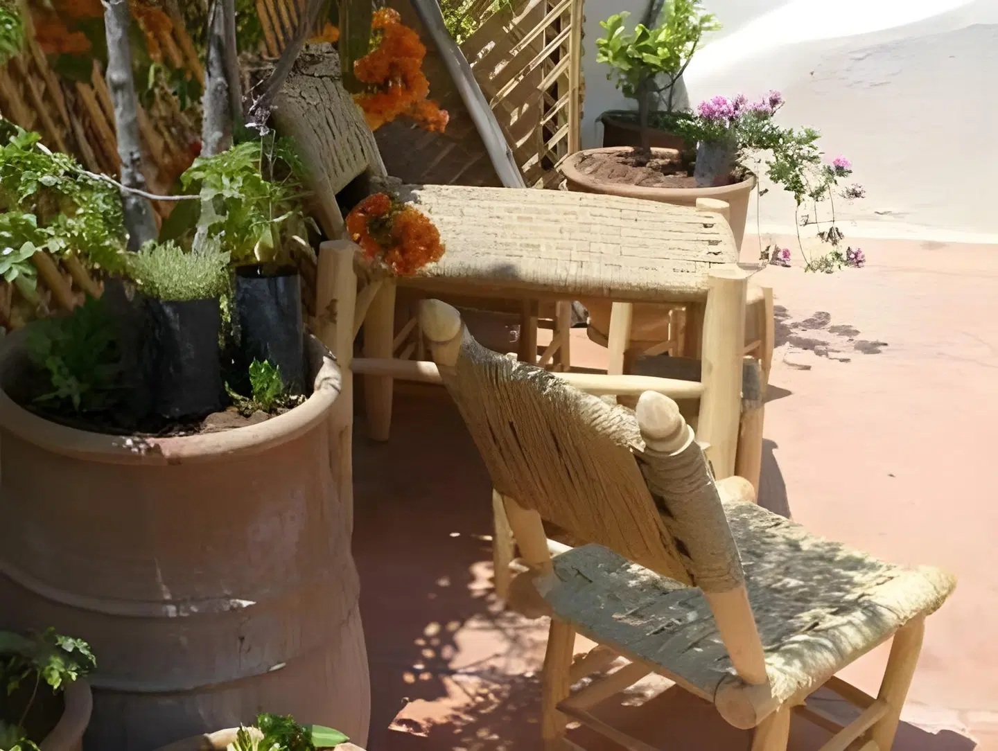 Riad Villa El Arsa Tiere