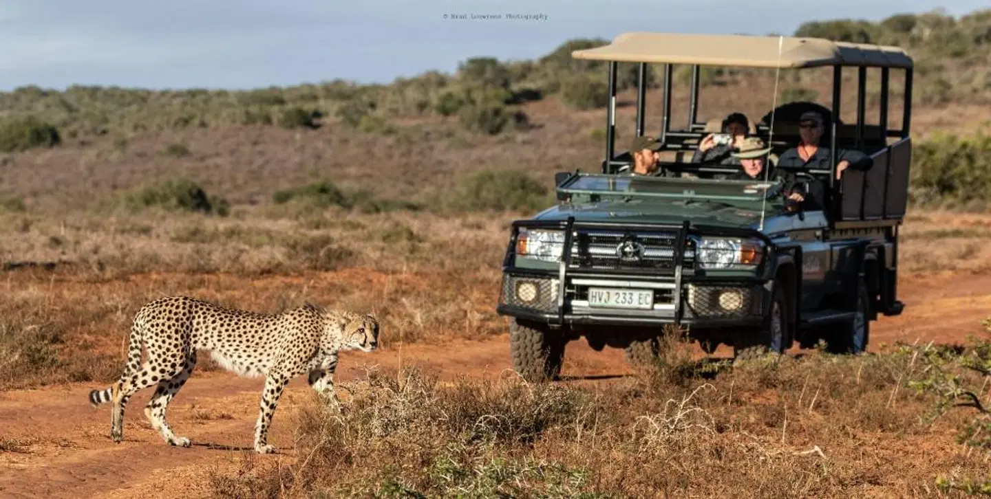 Amakhala Game Reserve - Woodbury Lodge LANDSCAPE