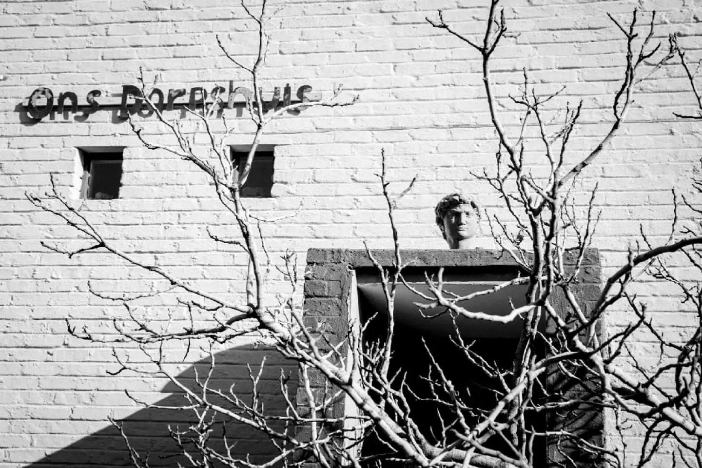 Ons Dorpshuis Guesthouse Tiere
