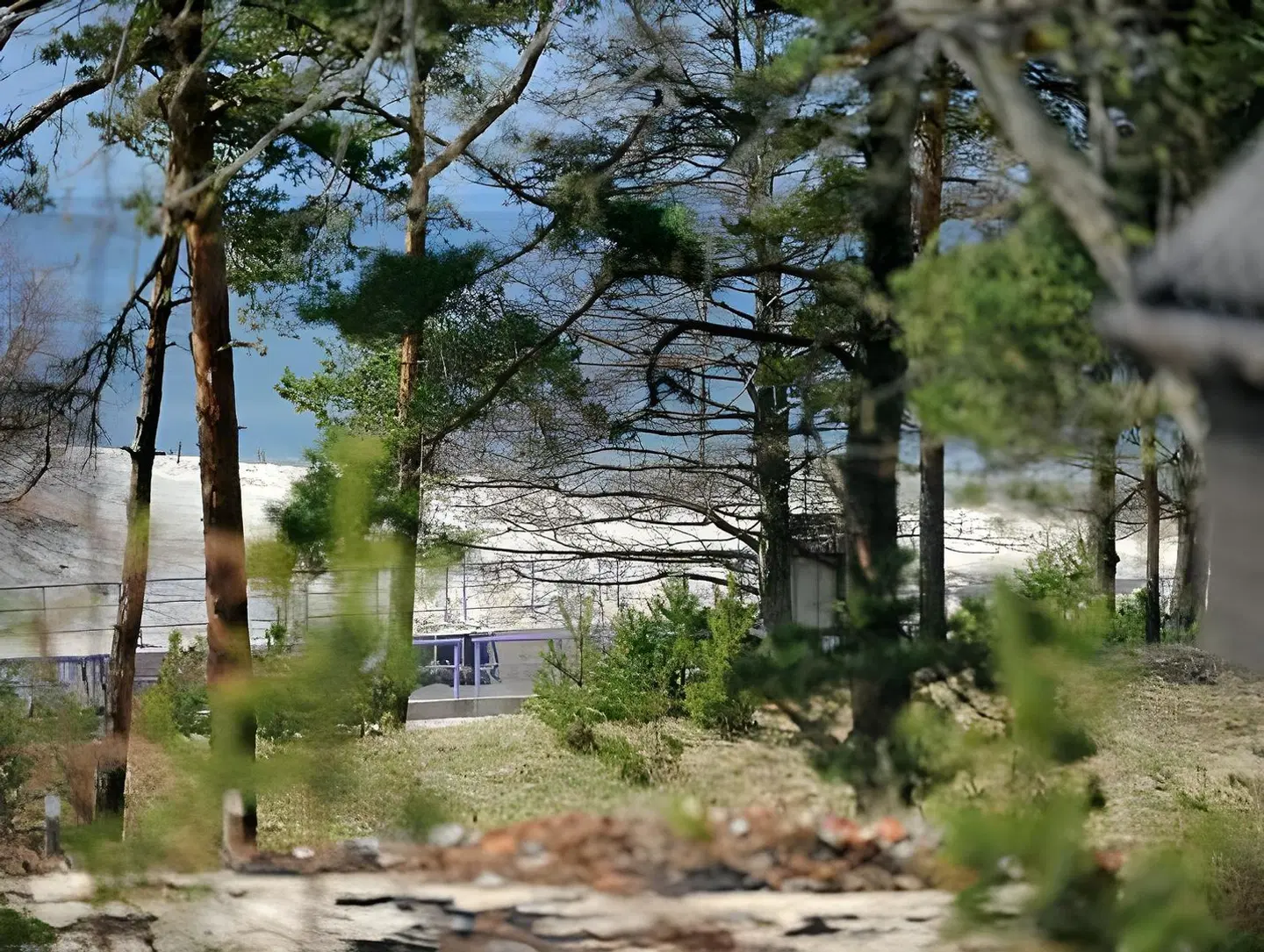 Bella Vila LANDSCAPE