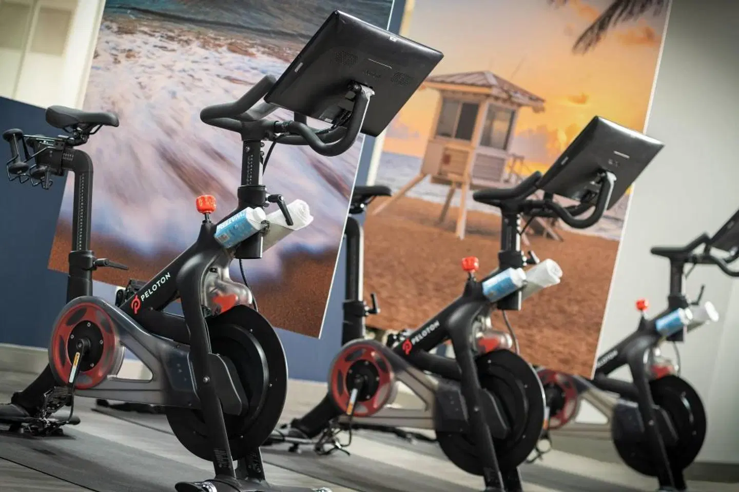 Renaissance Orlando at SeaWorld® SPORTS_AND_LEISURE