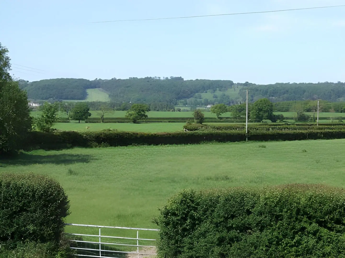 The Langford Inn Garten