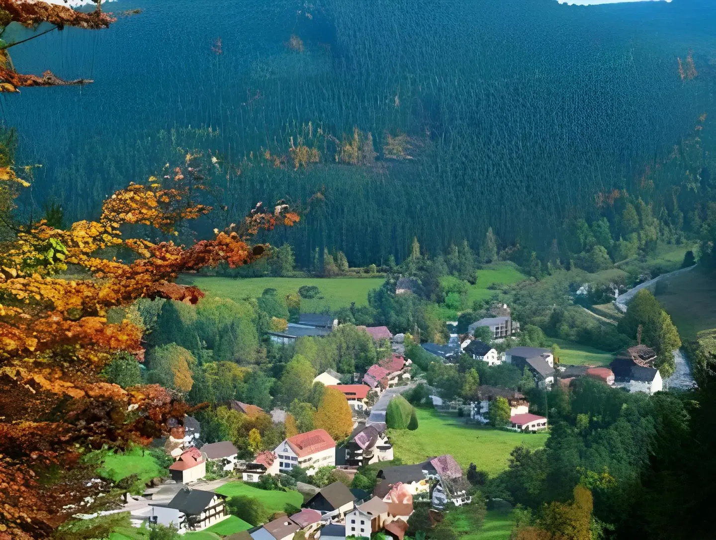 Schwarzwaldhof LANDSCAPE