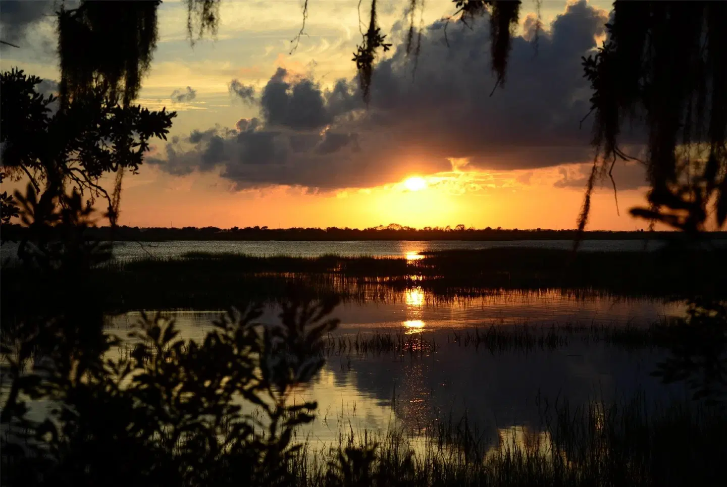 Days Inn & Suites by Wyndham Jekyll Island LANDSCAPE