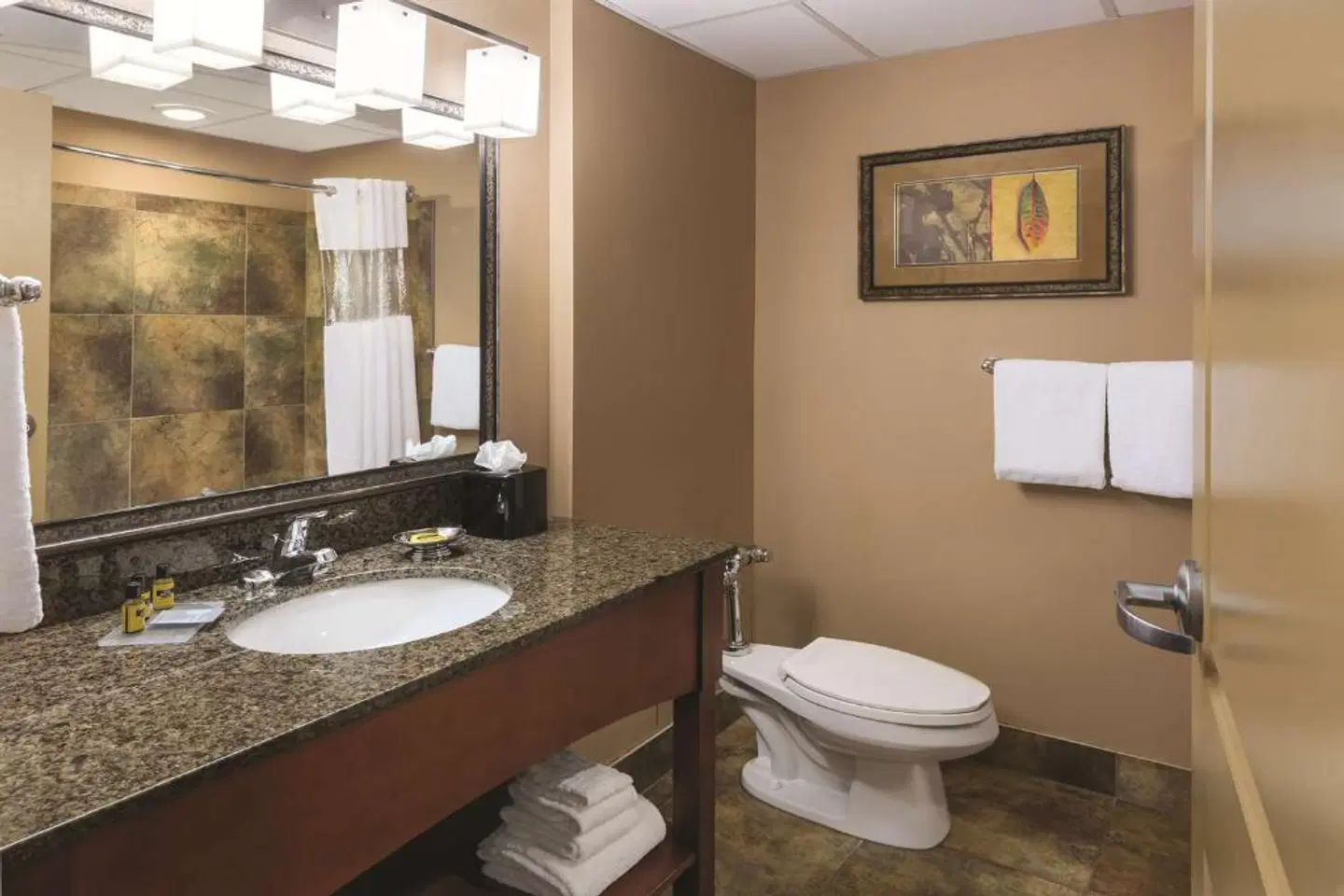 Best Western Plus Bloomington at Mall of America Badezimmer