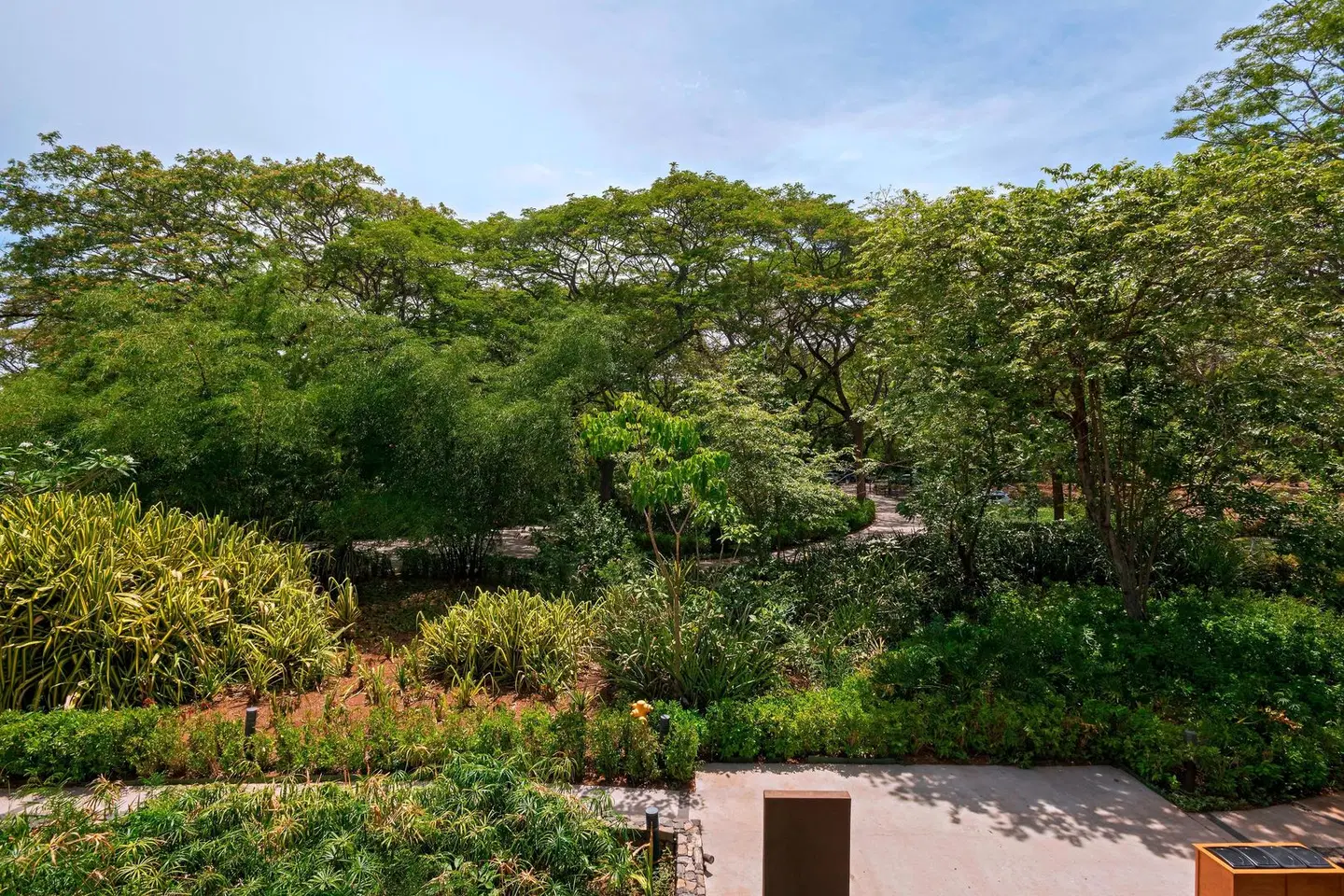 El Mangroove, Autograph Collection LANDSCAPE