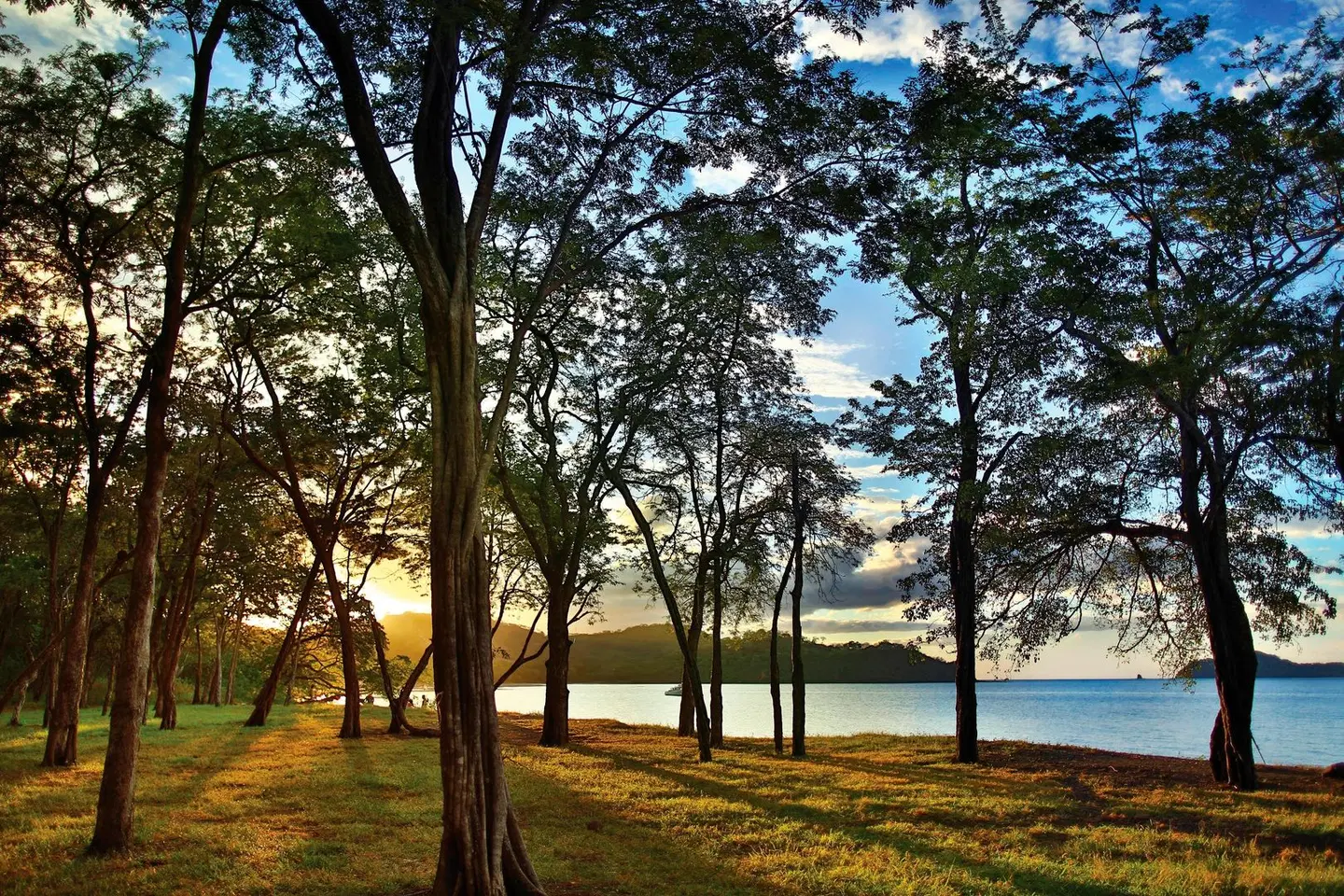 El Mangroove, Autograph Collection LANDSCAPE