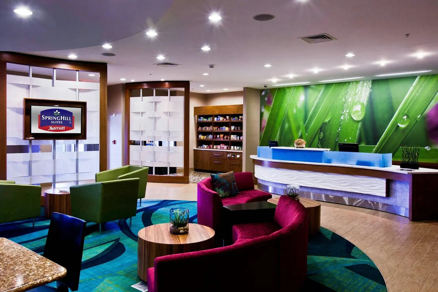 SpringHill Suites by Marriott Mobile SPORTS_AND_LEISURE